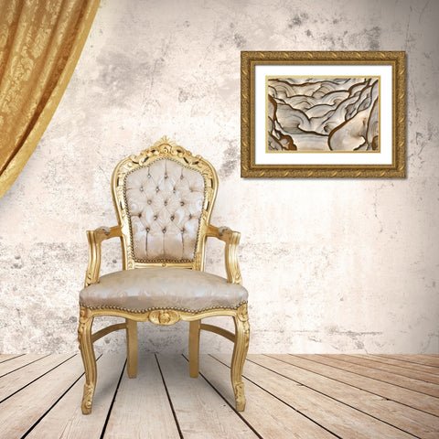 Oregon, Biggs Close-up of picture jasper stone Gold Ornate Wood Framed Art Print with Double Matting by Kirkland, Dennis