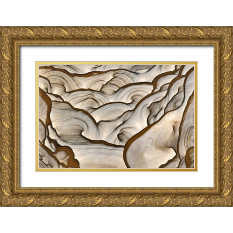 Oregon, Biggs Close-up of picture jasper stone Gold Ornate Wood Framed Art Print with Double Matting by Kirkland, Dennis