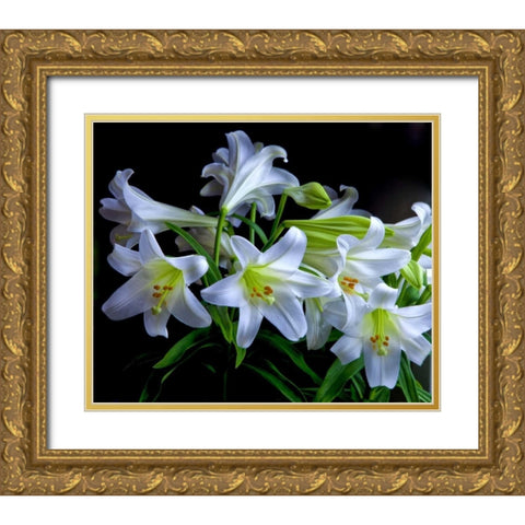 USA, Oregon Close-up of Easter lilies Gold Ornate Wood Framed Art Print with Double Matting by Carter, Jean