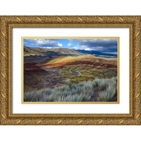 Oregon, John Day Fossil Beds NM, Painted Hills Gold Ornate Wood Framed Art Print with Double Matting by Carter, Jean