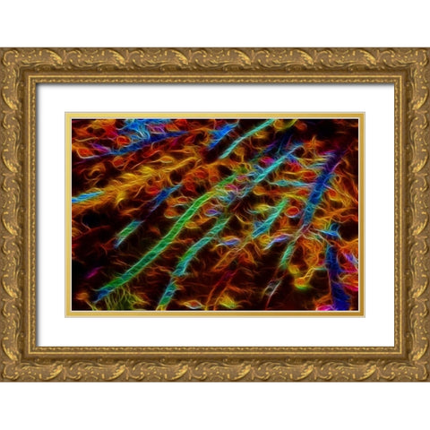 OR, Bandon Abstract of Pacific sea kelp Gold Ornate Wood Framed Art Print with Double Matting by Carter, Jean
