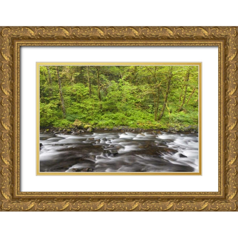 Oregon, Columbia River Gorge Tanner Creek Gold Ornate Wood Framed Art Print with Double Matting by Paulson, Don
