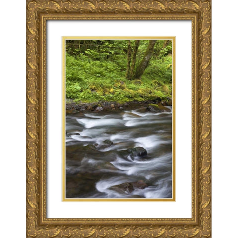 Oregon, Columbia River Gorge Tanner Creek Gold Ornate Wood Framed Art Print with Double Matting by Paulson, Don