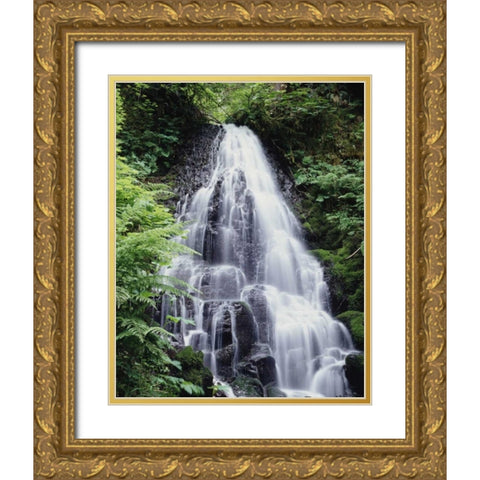 USA, Oregon, A Waterfall amongst ferns Gold Ornate Wood Framed Art Print with Double Matting by Talbot Frank, Christopher