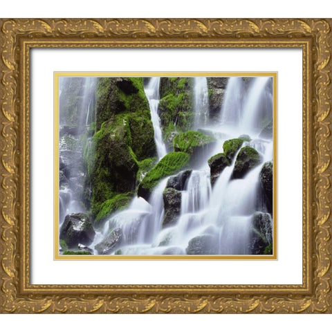 USA, Oregon, Mount Hood, Ramona Falls Gold Ornate Wood Framed Art Print with Double Matting by Talbot Frank, Christopher