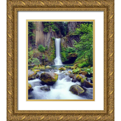 Oregon, Toketee Waterfall and Basalt Formation Gold Ornate Wood Framed Art Print with Double Matting by Talbot Frank, Christopher