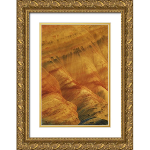 Oregon, John Day Fossil Beds NM Painted Hills Gold Ornate Wood Framed Art Print with Double Matting by Terrill, Steve
