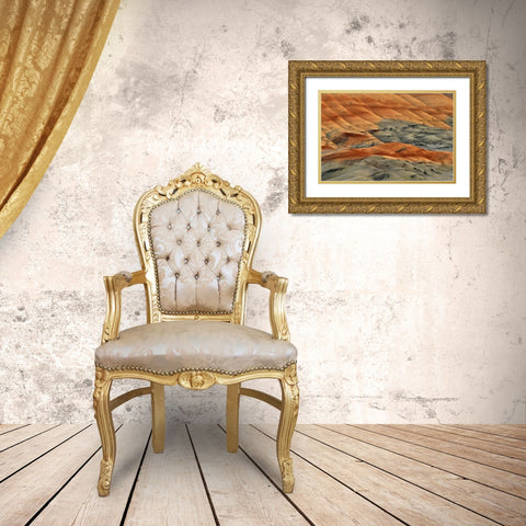 Oregon, John Day Fossil Beds NM Painted Hills Gold Ornate Wood Framed Art Print with Double Matting by Terrill, Steve