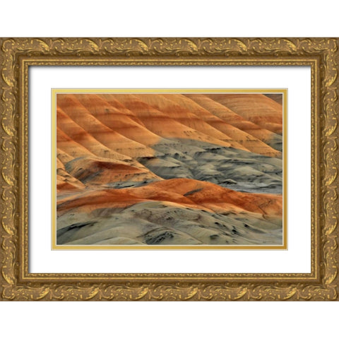 Oregon, John Day Fossil Beds NM Painted Hills Gold Ornate Wood Framed Art Print with Double Matting by Terrill, Steve