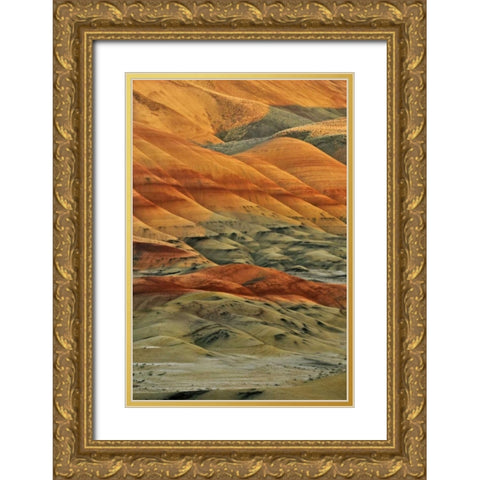 Oregon, John Day Fossil Beds NM Painted Hills Gold Ornate Wood Framed Art Print with Double Matting by Terrill, Steve
