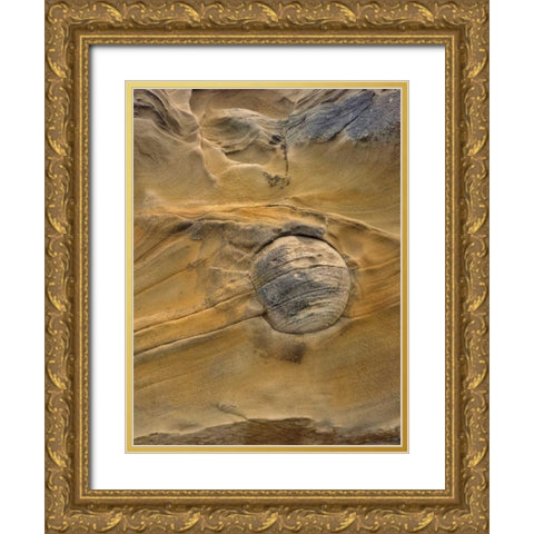 OR, Shore Acres SP Round rock in sandstone Gold Ornate Wood Framed Art Print with Double Matting by Terrill, Steve
