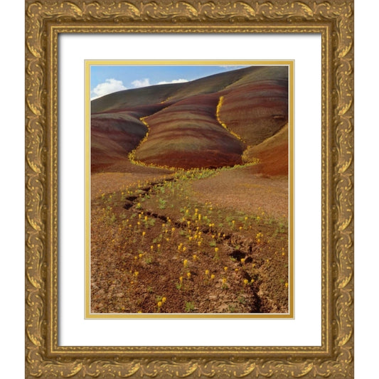 Perspective Image