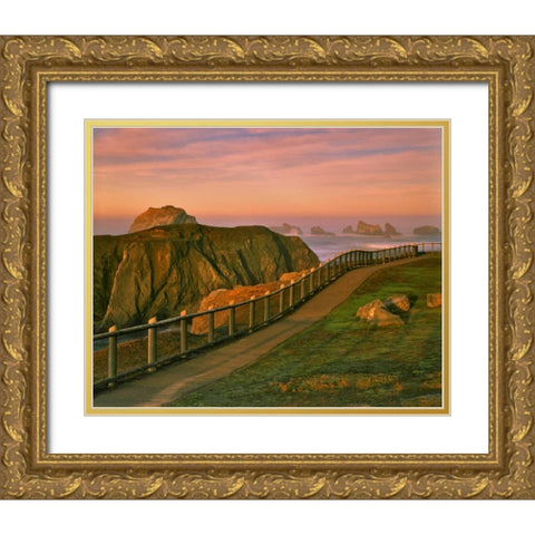 OR, Bandon Rocks viewed from trail to beach Gold Ornate Wood Framed Art Print with Double Matting by Terrill, Steve