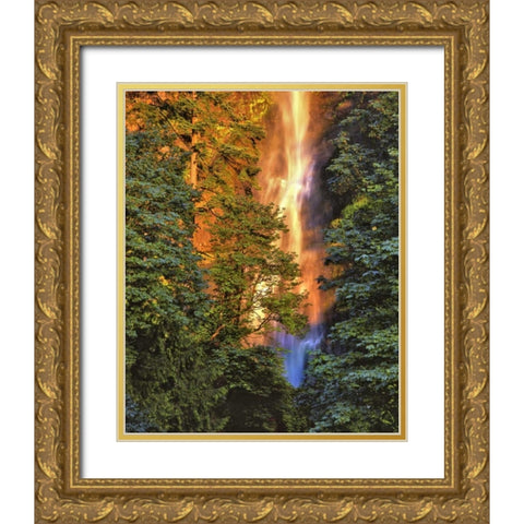 OR, Columbia Gorge Sunset on Multnomah Falls Gold Ornate Wood Framed Art Print with Double Matting by Terrill, Steve
