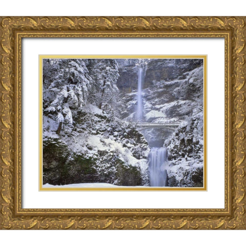 OR, Columbia Gorge Winter at Multnomah Falls Gold Ornate Wood Framed Art Print with Double Matting by Terrill, Steve