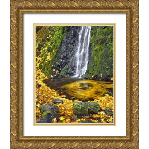 OR, Columbia Gorge Starvation Creek waterfall Gold Ornate Wood Framed Art Print with Double Matting by Terrill, Steve