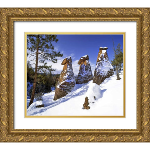 OR, Jefferson Co, The Balancing Rocks in winter Gold Ornate Wood Framed Art Print with Double Matting by Terrill, Steve
