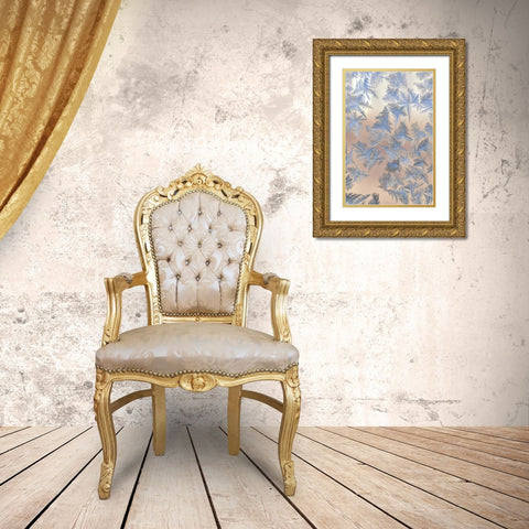 Oregon, Portland Ice crystals on window pane Gold Ornate Wood Framed Art Print with Double Matting by Terrill, Steve