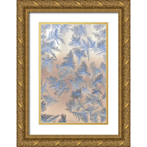 Oregon, Portland Ice crystals on window pane Gold Ornate Wood Framed Art Print with Double Matting by Terrill, Steve