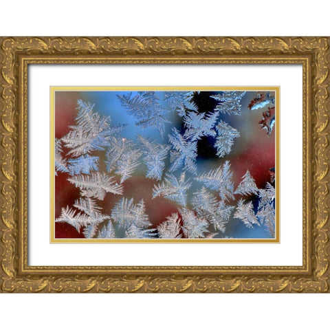 Oregon, Portland Ice crystals on window pane Gold Ornate Wood Framed Art Print with Double Matting by Terrill, Steve