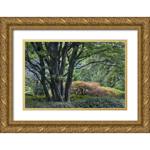 Oregon, Portland, Green lush garden scenic Gold Ornate Wood Framed Art Print with Double Matting by Bush, Marie