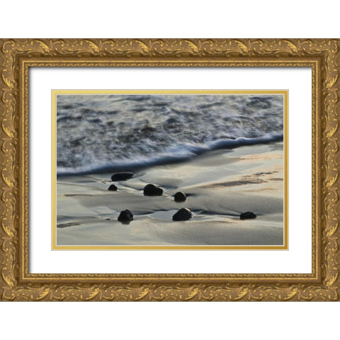 USA, Oregon Beach scenic Gold Ornate Wood Framed Art Print with Double Matting by Rotenberg, Nancy