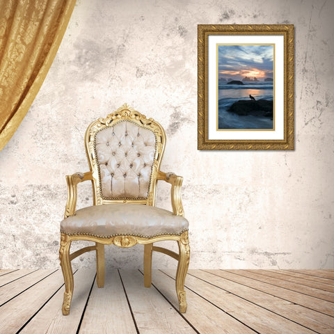 Oregon, Bandon Beach Seagull on rock at twilight Gold Ornate Wood Framed Art Print with Double Matting by Rotenberg, Nancy
