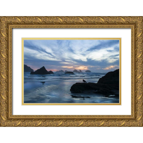 Oregon, Bandon Beach Seagull on rock at twilight Gold Ornate Wood Framed Art Print with Double Matting by Rotenberg, Nancy