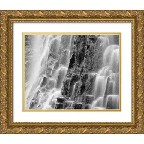 Oregon, Three Sisters Wilderness Proxy Falls Gold Ornate Wood Framed Art Print with Double Matting by Flaherty, Dennis