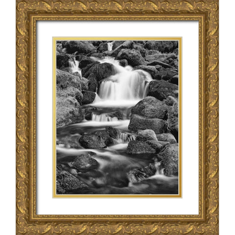 OR, Three Sisters Wilderness Area Proxy Falls Gold Ornate Wood Framed Art Print with Double Matting by Flaherty, Dennis