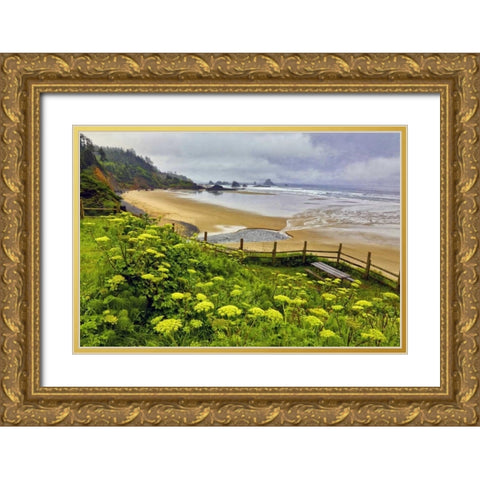 OR, Ecola SP Cow parsnip near Indian Beach Gold Ornate Wood Framed Art Print with Double Matting by Carter, Jean