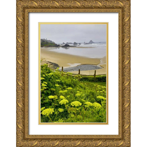 OR, Ecola SP Cow parsnip near Indian Beach Gold Ornate Wood Framed Art Print with Double Matting by Carter, Jean