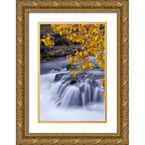 USA, Oregon Rogue River waterfalls in autumn Gold Ornate Wood Framed Art Print with Double Matting by Carter, Jean