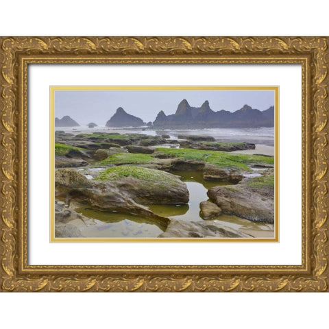 Oregon, Seal Rock SP Rocky beach at low tide Gold Ornate Wood Framed Art Print with Double Matting by Carter, Jean