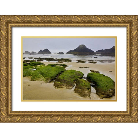 Oregon, Seal Rock SP Rocky beach at low tide Gold Ornate Wood Framed Art Print with Double Matting by Carter, Jean
