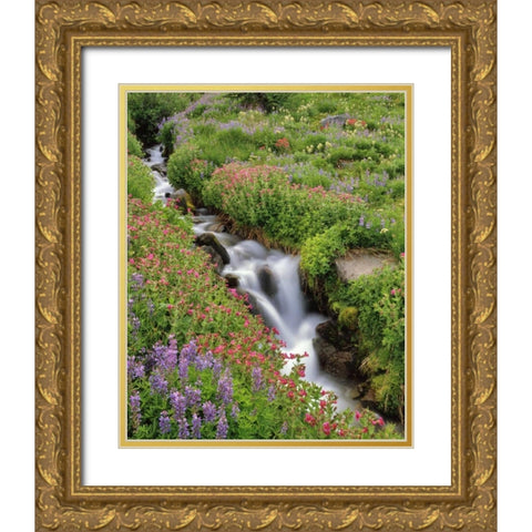 OR, Mt Hood, Flowers along Elk Cove Creek Gold Ornate Wood Framed Art Print with Double Matting by Terrill, Steve