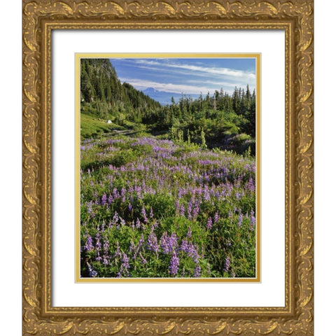 Oregon, Mount Hood Wilderness Lupine in Elk Cove Gold Ornate Wood Framed Art Print with Double Matting by Terrill, Steve