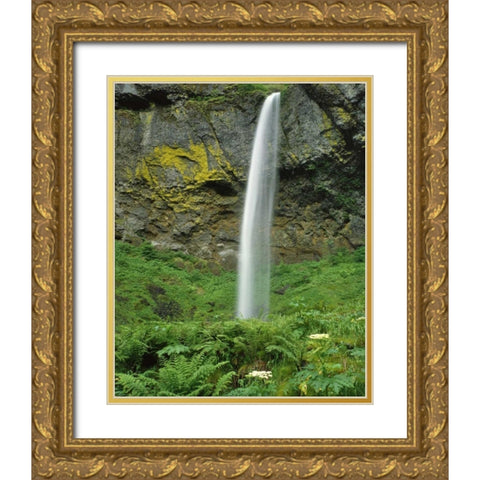 OR, Columbia River Gorge NSA Elowah Falls scenic Gold Ornate Wood Framed Art Print with Double Matting by Terrill, Steve
