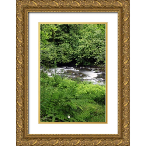 Oregon Scenic of Little Sandy River and ferns Gold Ornate Wood Framed Art Print with Double Matting by Terrill, Steve