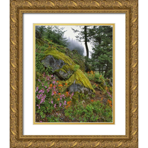 Oregon, Mt Hood NF Trees and flowers Gold Ornate Wood Framed Art Print with Double Matting by Terrill, Steve