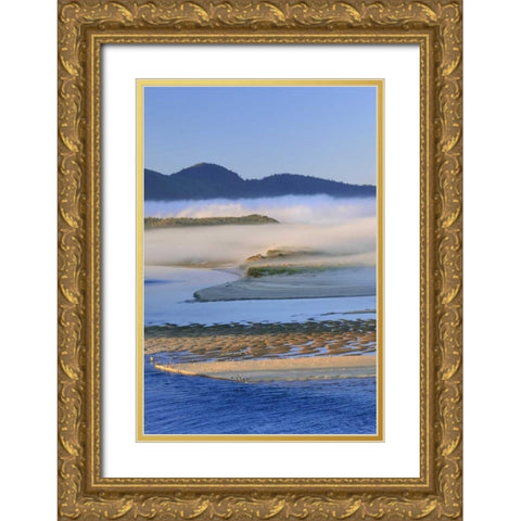 USA, Oregon Fog over Netarts Bay Gold Ornate Wood Framed Art Print with Double Matting by Terrill, Steve