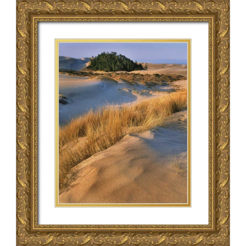 Oregon, Dunes NRA Landscape of sand dunes Gold Ornate Wood Framed Art Print with Double Matting by Terrill, Steve