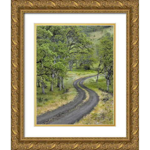 OR, Columbia Gorge NSA Road lined with oak trees Gold Ornate Wood Framed Art Print with Double Matting by Terrill, Steve