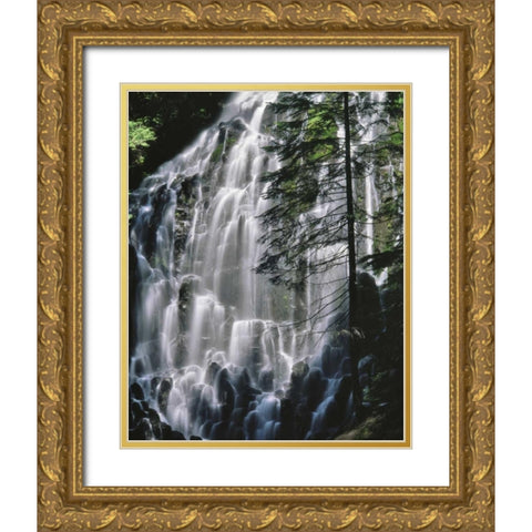 Oregon, Mt Hood Wilderness Ramona Falls Gold Ornate Wood Framed Art Print with Double Matting by Terrill, Steve
