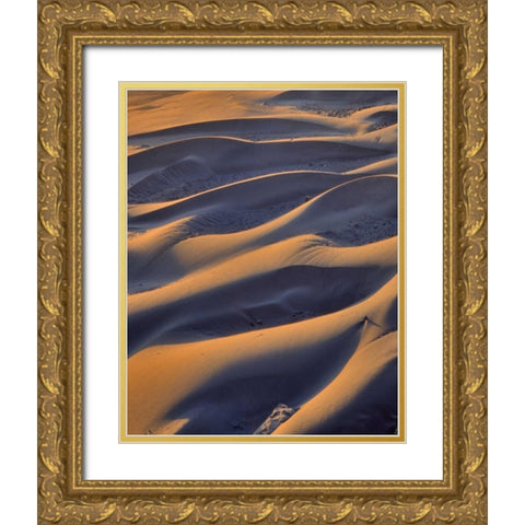 Oregon, Cape Sebastian Close-up of sand dunes Gold Ornate Wood Framed Art Print with Double Matting by Terrill, Steve