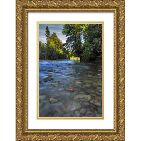 Oregon, Mt Hood NF Sandy River landscape Gold Ornate Wood Framed Art Print with Double Matting by Terrill, Steve