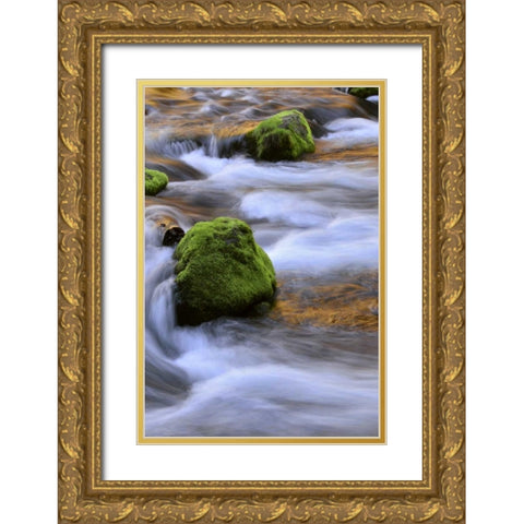 Oregon, Willamette NF McKenzie River over rocks Gold Ornate Wood Framed Art Print with Double Matting by Terrill, Steve