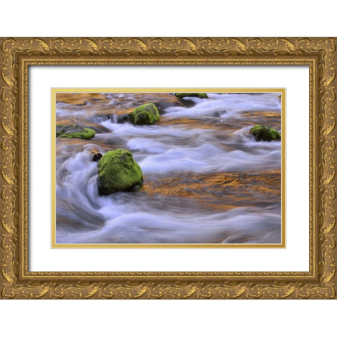 Oregon, Willamette NF McKenzie River over rocks Gold Ornate Wood Framed Art Print with Double Matting by Terrill, Steve