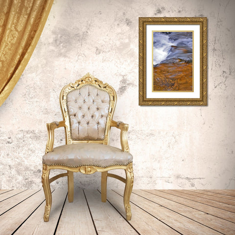 USA, Oregon Waterfall in South Fork River Gold Ornate Wood Framed Art Print with Double Matting by Terrill, Steve