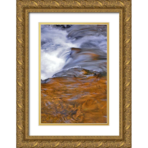USA, Oregon Waterfall in South Fork River Gold Ornate Wood Framed Art Print with Double Matting by Terrill, Steve